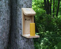 sqf_PicnicRoost.jpg